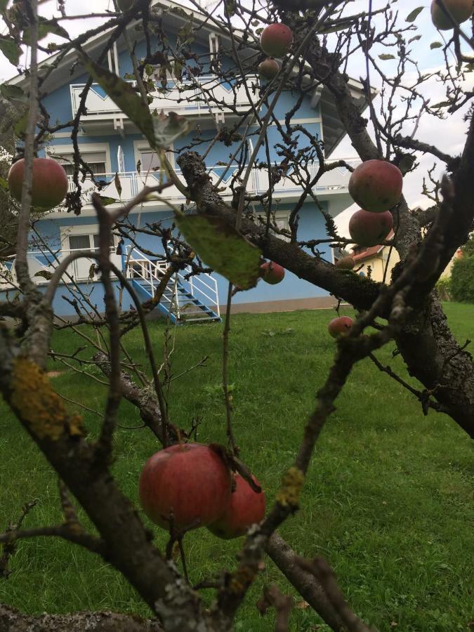 Pension Lipusch Sankt Veit im Jauntal ภายนอก รูปภาพ